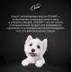 Корм влажный Cesar для взрослых собак паштет с ягнёнком, 80г