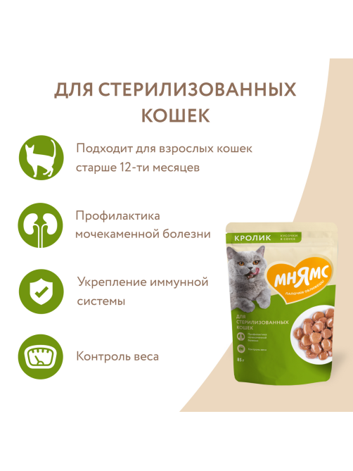 Корм влажный Мнямс для кошек кусочки в соусе кролик, 85г