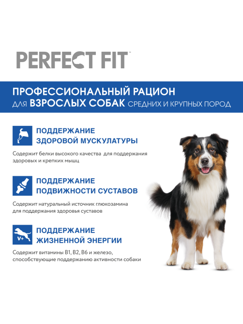 Корм сухой Perfect Fit для взрослых собак средних пород говядина, 14.5кг