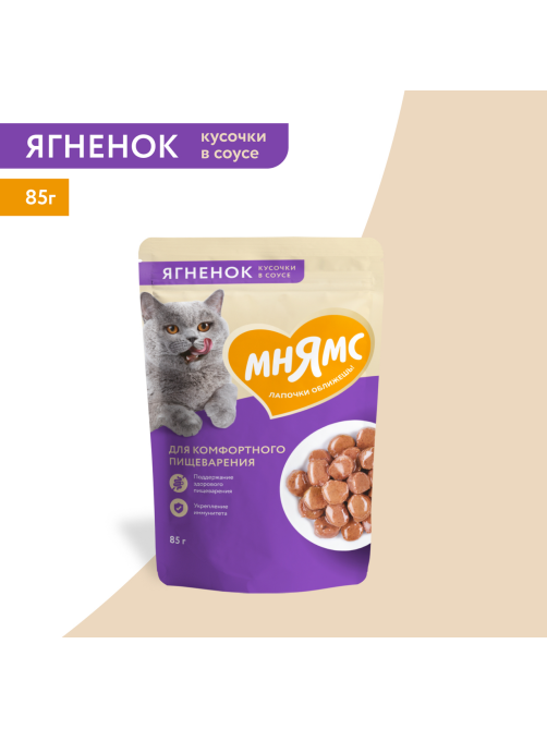 Корм влажный Мнямс для кошек кусочки в соусе ягненок, 85г