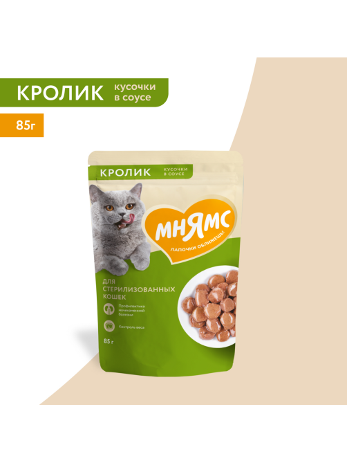 Корм влажный Мнямс для кошек кусочки в соусе кролик, 85г