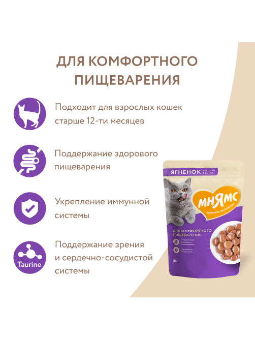 Корм влажный Мнямс для кошек кусочки в соусе ягненок, 85г