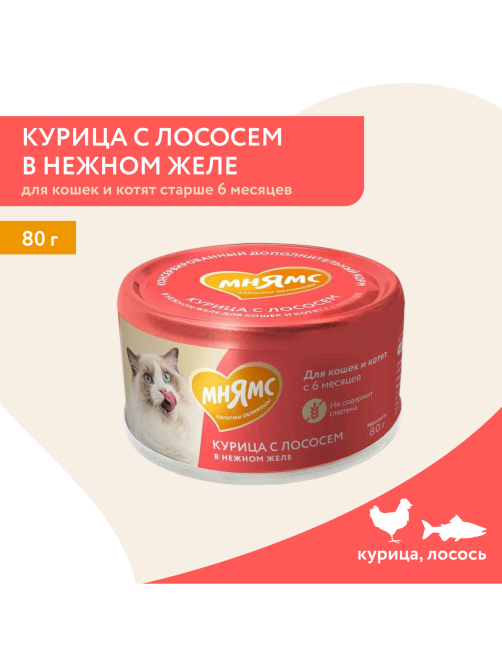 Корм влажный Мнямс для кошек курица с лососем в желе, 80г