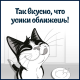Корм влажный Felix Суп для взрослых кошек с говядиной, 48г