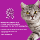 Корм влажный Whiskas рагу для взрослых кошек с форелью и лососем, 75г x 28 шт