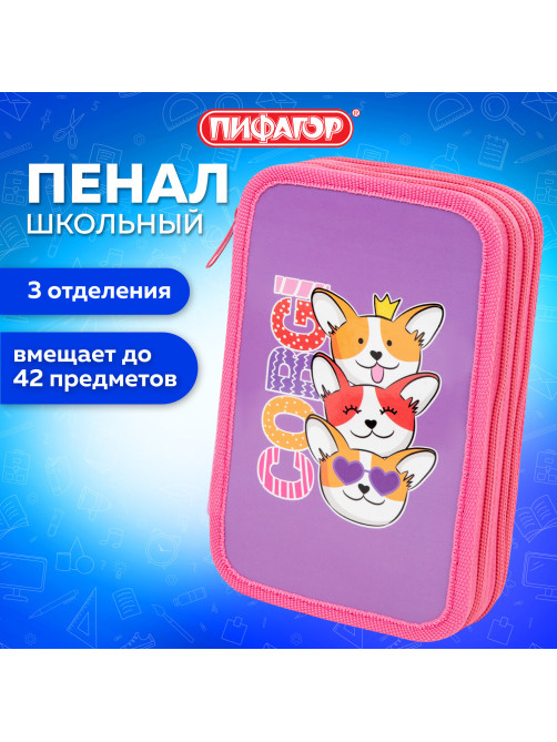 Пенал ПИФАГОР, 3 отделения, ламинированный картон, 19х11 см, 