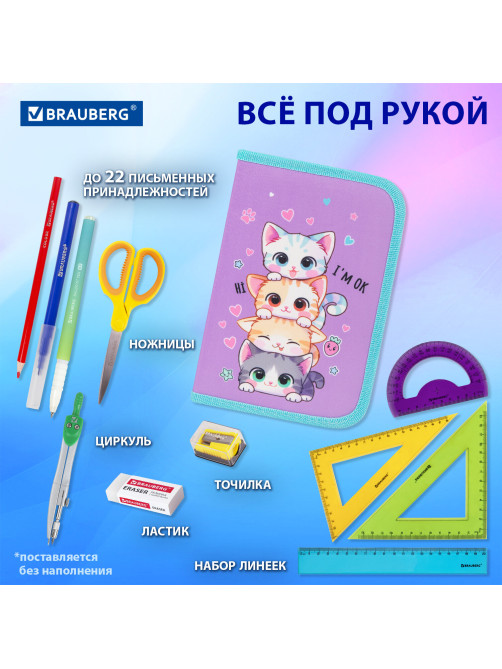 Пенал BRAUBERG, 1 отделение, 1 откидная планка, полиэстер, 21х14 см, 