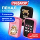 Пенал ПИФАГОР, 3 отделения, ламинированный картон, 19х11 см, АССОРТИ для девочек, 274562