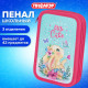 Пенал ПИФАГОР, 3 отделения, ламинированный картон, 19х11 см, 