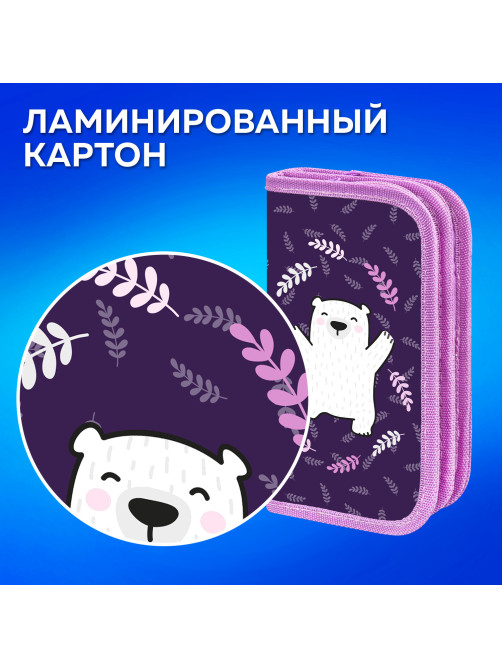Пенал ПИФАГОР, 2 отделения, ламинированный картон, 19х11 см, 