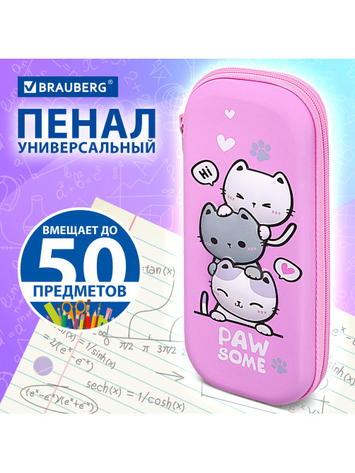 Пенал BRAUBERG, 1 отделение, 1 откидная планка, EVA, 22х10х5 см, 