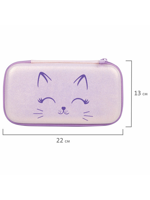 Пенал BRAUBERG SHINY, 1 отделение, 1 откидная планка, EVA, 22х13х4 см, 