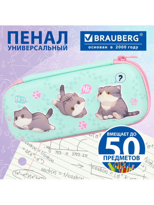 Пенал BRAUBERG, 1 отделение, 1 откидная планка, EVA, 22х10х5 см, 