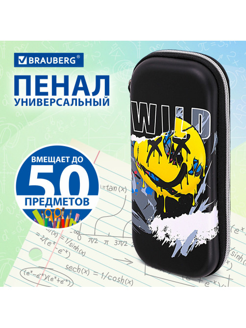 Пенал BRAUBERG, 1 отделение, 1 откидная планка, EVA, 22х10х5 см, 