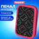 Пенал ПИФАГОР, 3 отделения, ламинированный картон, 19х11 см, 