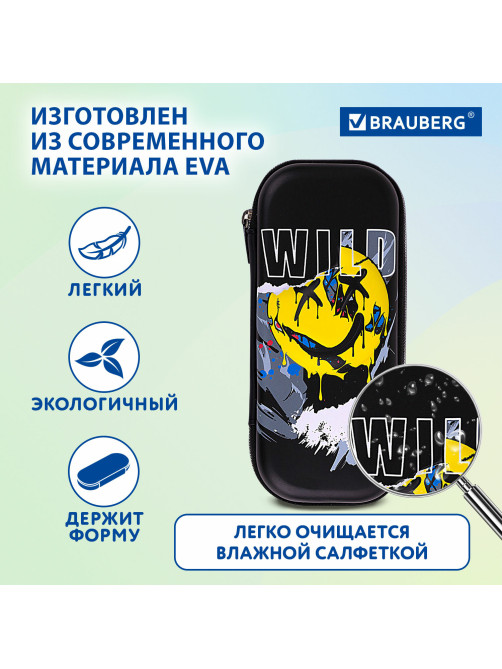 Пенал BRAUBERG, 1 отделение, 1 откидная планка, EVA, 22х10х5 см, 