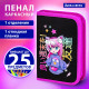 Пенал BRAUBERG, 1 отделение, 1 откидная планка, полиэстер, 21х14 см, 