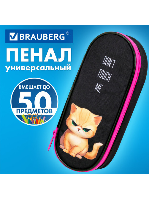 Пенал-футляр BRAUBERG, 1 отделение, органайзер, полиэстер, 22x9х5 см, 