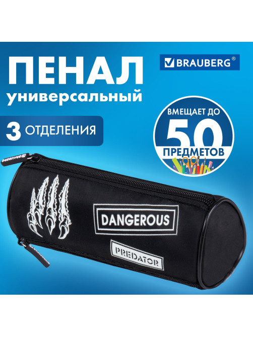 Пенал BRAUBERG, 3 отделения, нейлон, 21х7х7 см, 