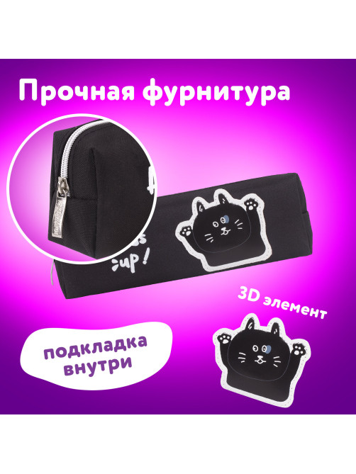 Пенал ЮНЛАНДИЯ, 1 отделение, полиэстер, 