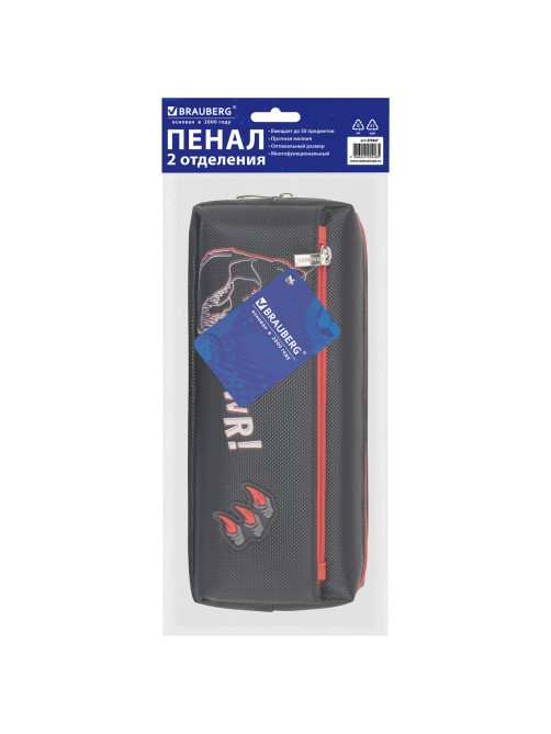 Пенал мягкий BRAUBERG, 2 отделения, полиэстер, 