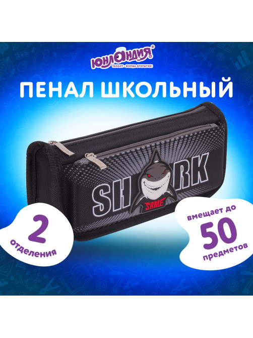 Пенал мягкий ЮНЛАНДИЯ, 2 отделения, полиэстер, 
