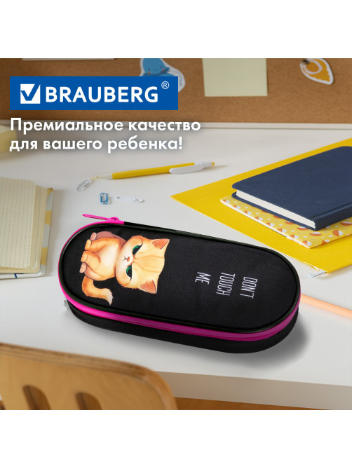 Пенал-футляр BRAUBERG, 1 отделение, органайзер, полиэстер, 22x9х5 см, 