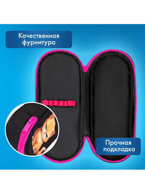 Пенал-футляр BRAUBERG, 1 отделение, органайзер, полиэстер, 22x9х5 см, 