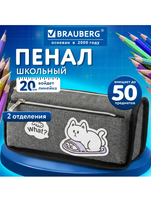 Пенал мягкий BRAUBERG, 2 отделения, полиэстер, 