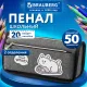 Пенал мягкий BRAUBERG, 2 отделения, полиэстер, 