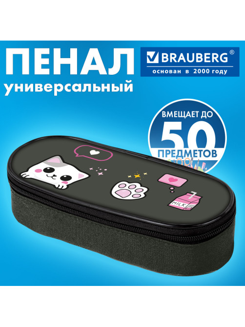 Пенал-футляр BRAUBERG, 1 отделение, органайзер, полиэстер, 22x9х5 см, 