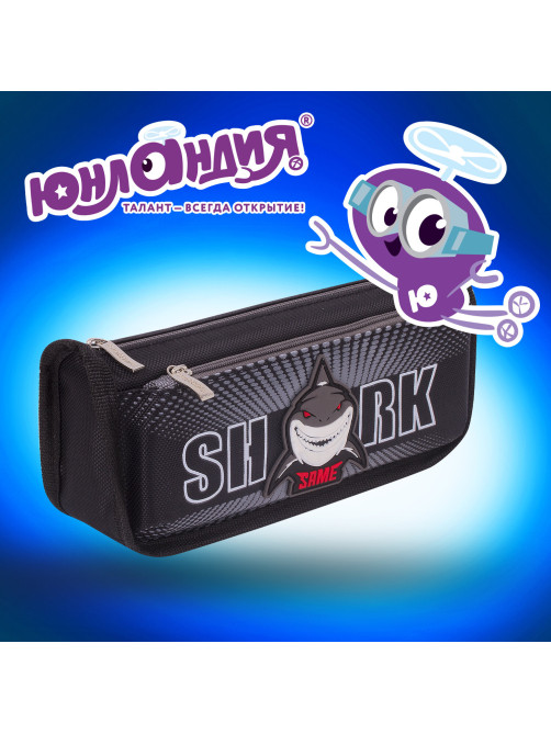 Пенал мягкий ЮНЛАНДИЯ, 2 отделения, полиэстер, 