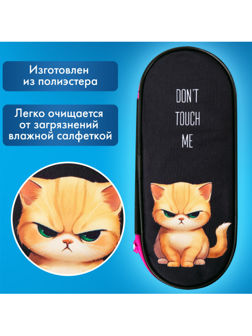 Пенал-футляр BRAUBERG, 1 отделение, органайзер, полиэстер, 22x9х5 см, 