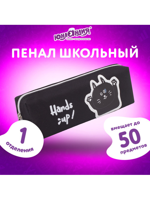 Пенал ЮНЛАНДИЯ, 1 отделение, полиэстер, 