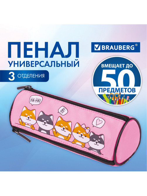Пенал мягкий BRAUBERG, 3 отделения, нейлон, 21х7х7 см, 