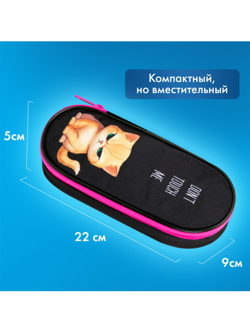 Пенал-футляр BRAUBERG, 1 отделение, органайзер, полиэстер, 22x9х5 см, 
