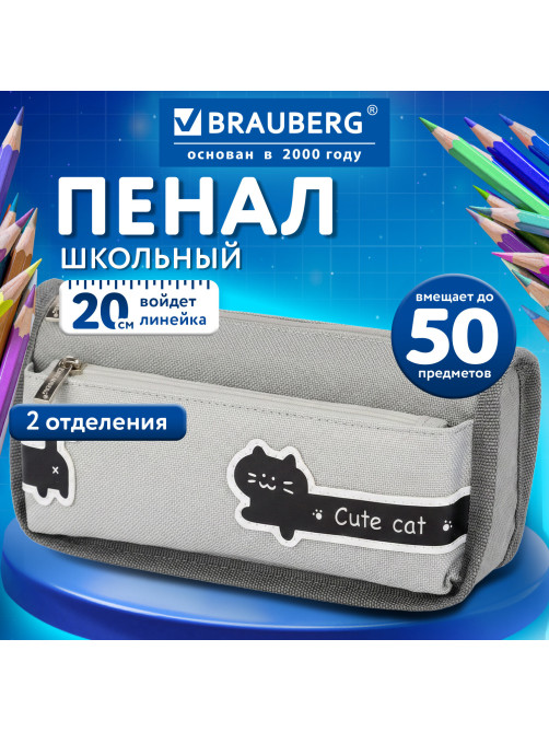 Пенал мягкий BRAUBERG, 2 отделения, полиэстер, 