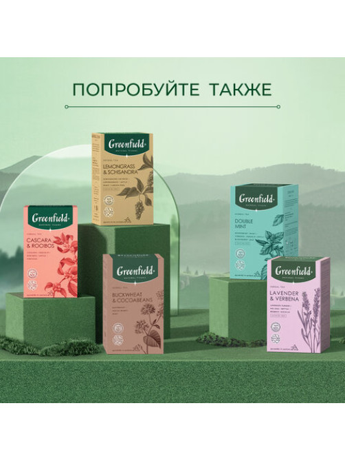 Чай GREENFIELD Natural Tisane 
