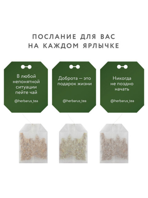 Чай HERBARUS 