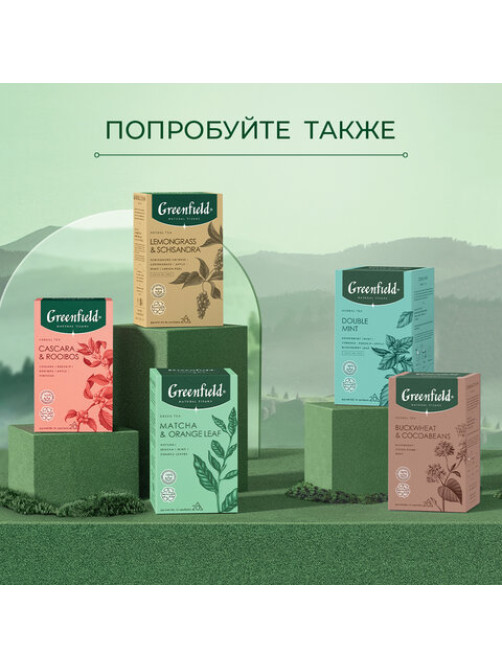 Чай GREENFIELD Natural Tisane 