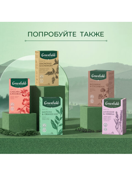 Чай GREENFIELD Natural Tisane 