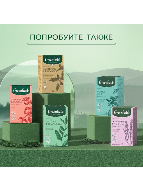 Чай GREENFIELD Natural Tisane 