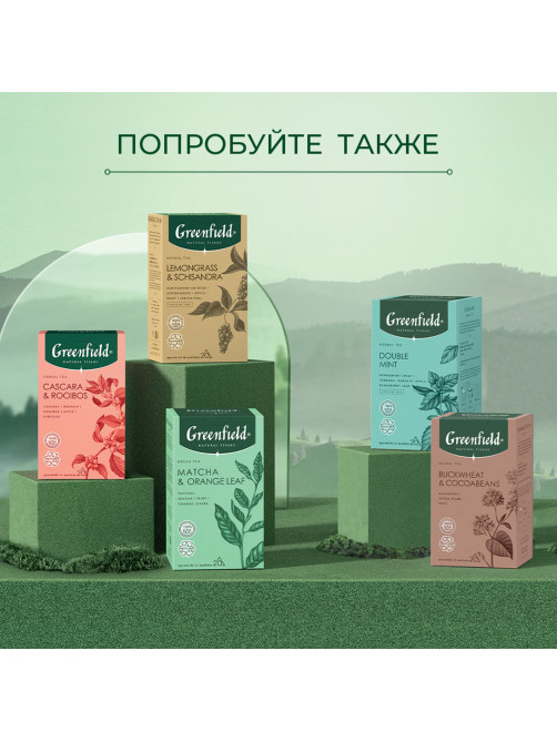 Чай GREENFIELD Natural Tisane 