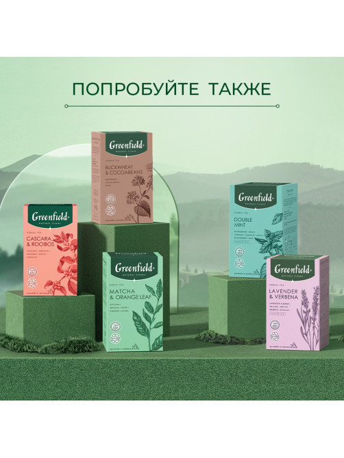 Чай GREENFIELD Natural Tisane 