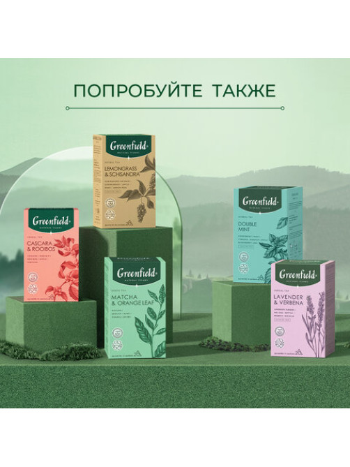 Чай GREENFIELD Natural Tisane 