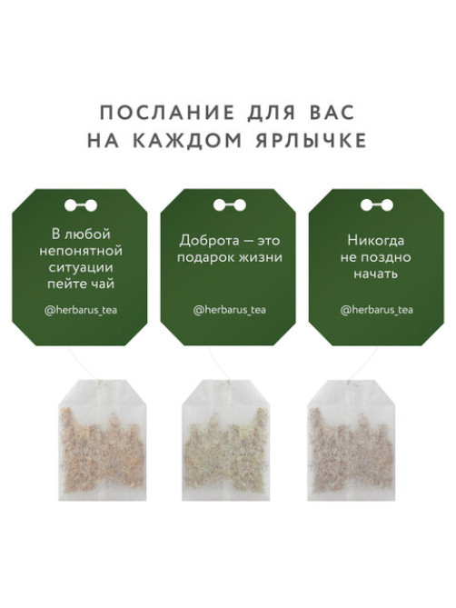 Чай HERBARUS 