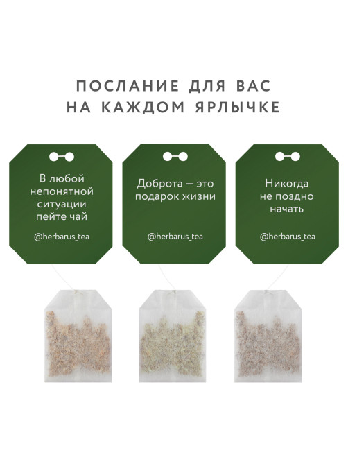 Чай HERBARUS 