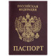 Обложка для паспорта STAFF 