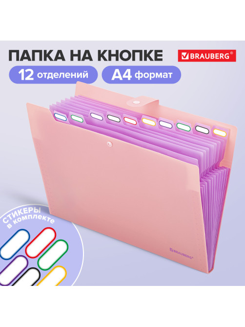 Папка-органайзер на кнопке 12 отделений, BRAUBERG 