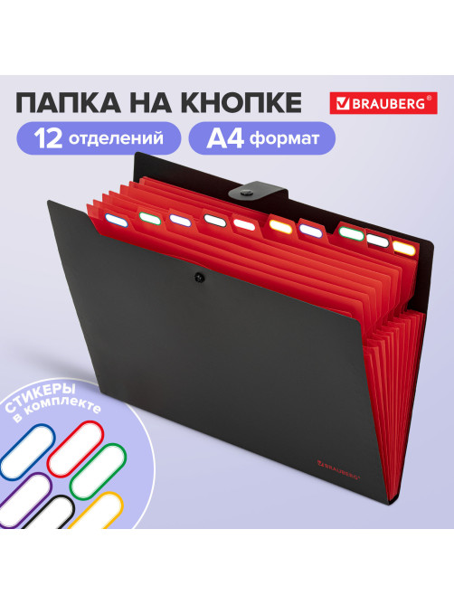 Папка-органайзер на кнопке 12 отделений, BRAUBERG 